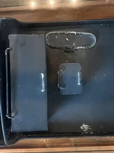 Squire IMG 3940.jpeg