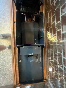 Squire IMG 3941.jpeg