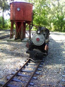 Taking on water at the former John Cassady (Possum Flats and Eastern RR) water tank, E. Lee County, Florida. Photo by Bruce Raykiewicz, 29 October 2018.