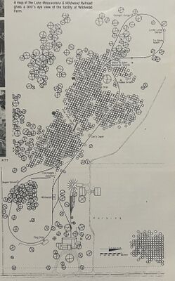 Map of Bill Fitt's Lake Meauwataka & Wildwood Railroad, from Modeltec, May 1984.